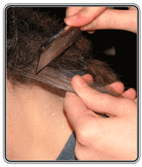 Backcombing dread technique, How to